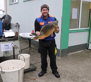 TRŽNICA PAKRAC Prodaja šarana (Ribnjačarstvo Končanica) 30. listopada trznica prodaja ribe naslovna