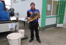 TRŽNICA PAKRAC Prodaja šarana 26. ožujka (četvrtak) od 8 do 12 sati