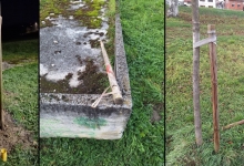ZAŠTO? Vandali „operirali“ po novoposađenim stablima u Lozincu