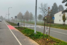 OZELENJAVANJE PAKRACA Nastavlja se sadnja stabala na 7 lokacija