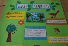 Osnovna škola braće Radića u Pakracu gradi svoj identitet kroz niz prepoznatljivih projekata – Eko škola