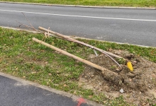 NEKIMA STVARNO SMETAJU POSAĐENA STABLA Nastavak uništavanja gradske imovine