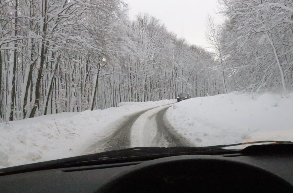 611361233 1531234732340844 1275677651606453243 nslikapkcsnijeg