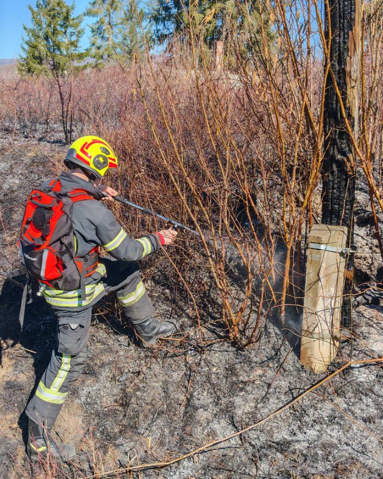 642818562 1364944298999440 8111105697801963753 n