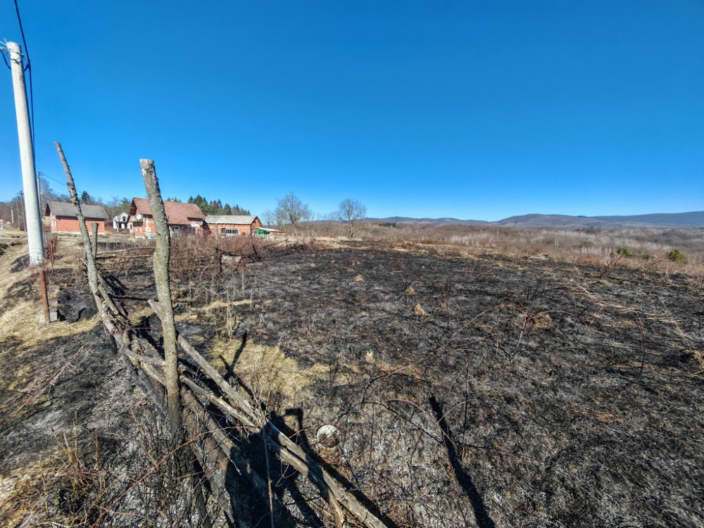 643263180 1364944362332767 2213561279270066859 n