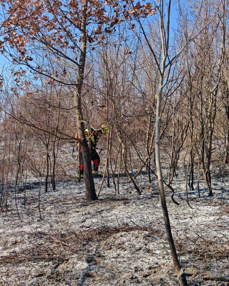 643393714 1364944645666072 8388088653189569265 n