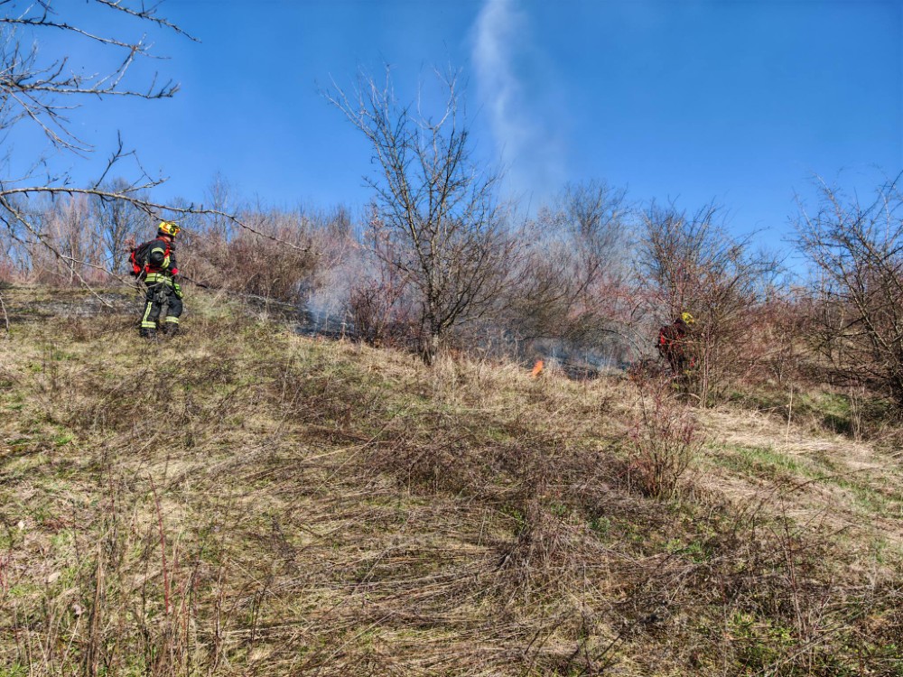 644546787 1364944578999412 729335535180875313 n