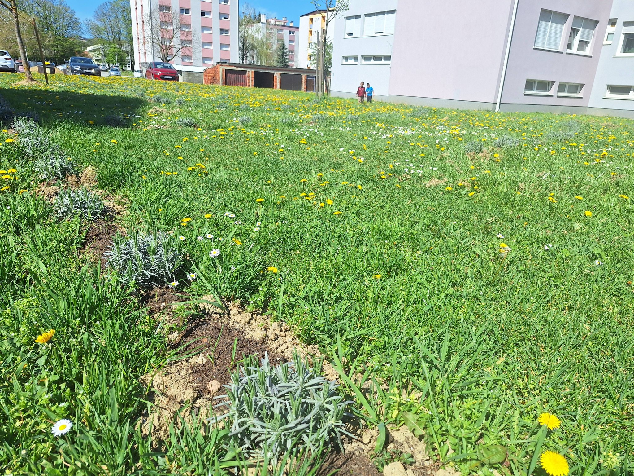 666533183 27052790157660063 8690011395523176216 n