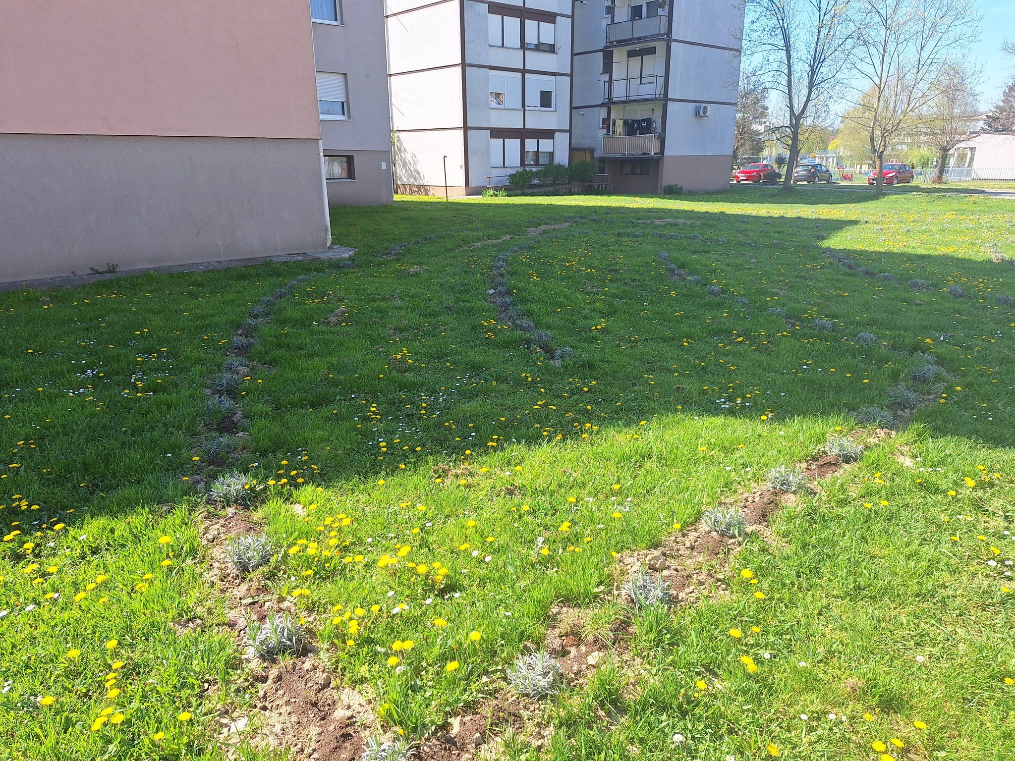 669306472 27052790650993347 2018396084963630811 n