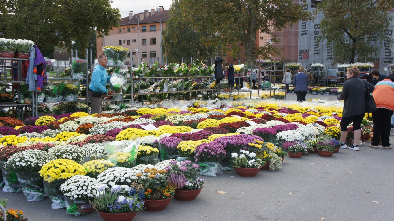 U NEDJELJU Prodaja cvijeća i cvjetnih aranžmana
