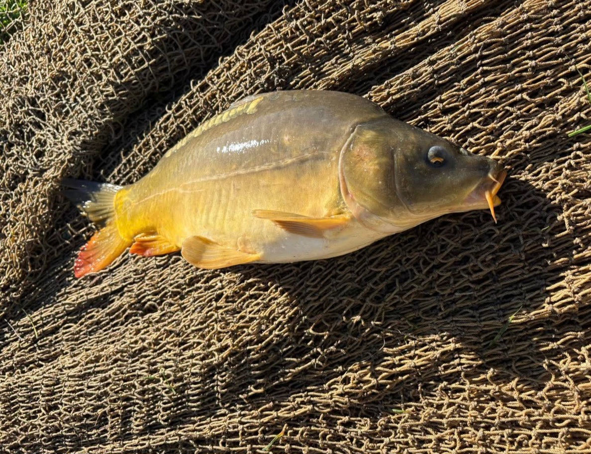 FB IMG 1775543092832