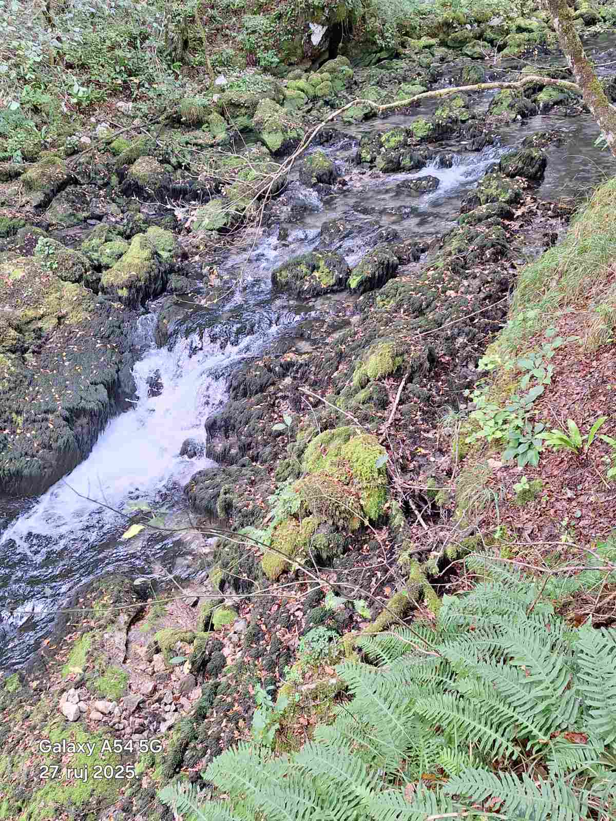 IMG 8d3f72df5c3729f62e0e21916900b6ab V