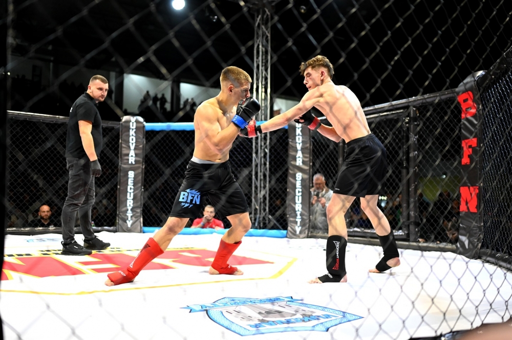 573044050178565663735447478272384661261679053n