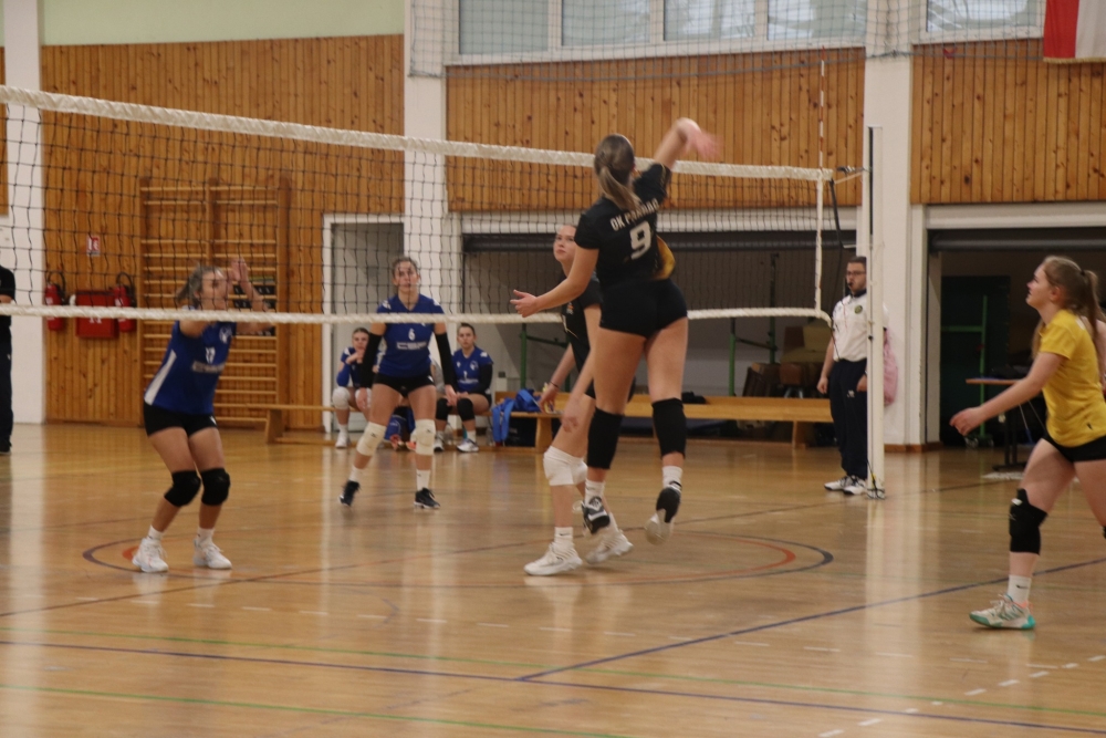 58487849725766132859659139403698444656903117n