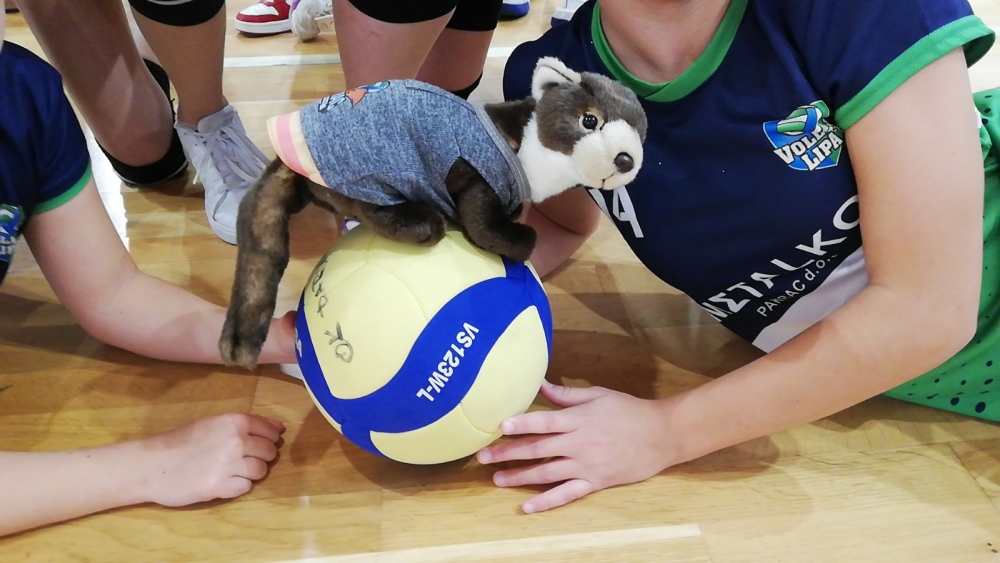 IMG-3921c1cac2077cb64b1d06d3fa6ed884-V