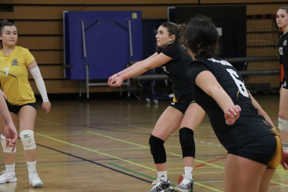 597024464259185305810860323031922114574502578n