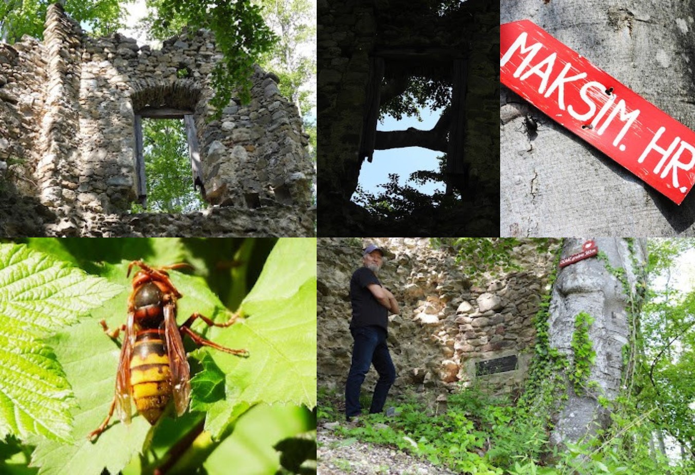 luky dolacki stari grad