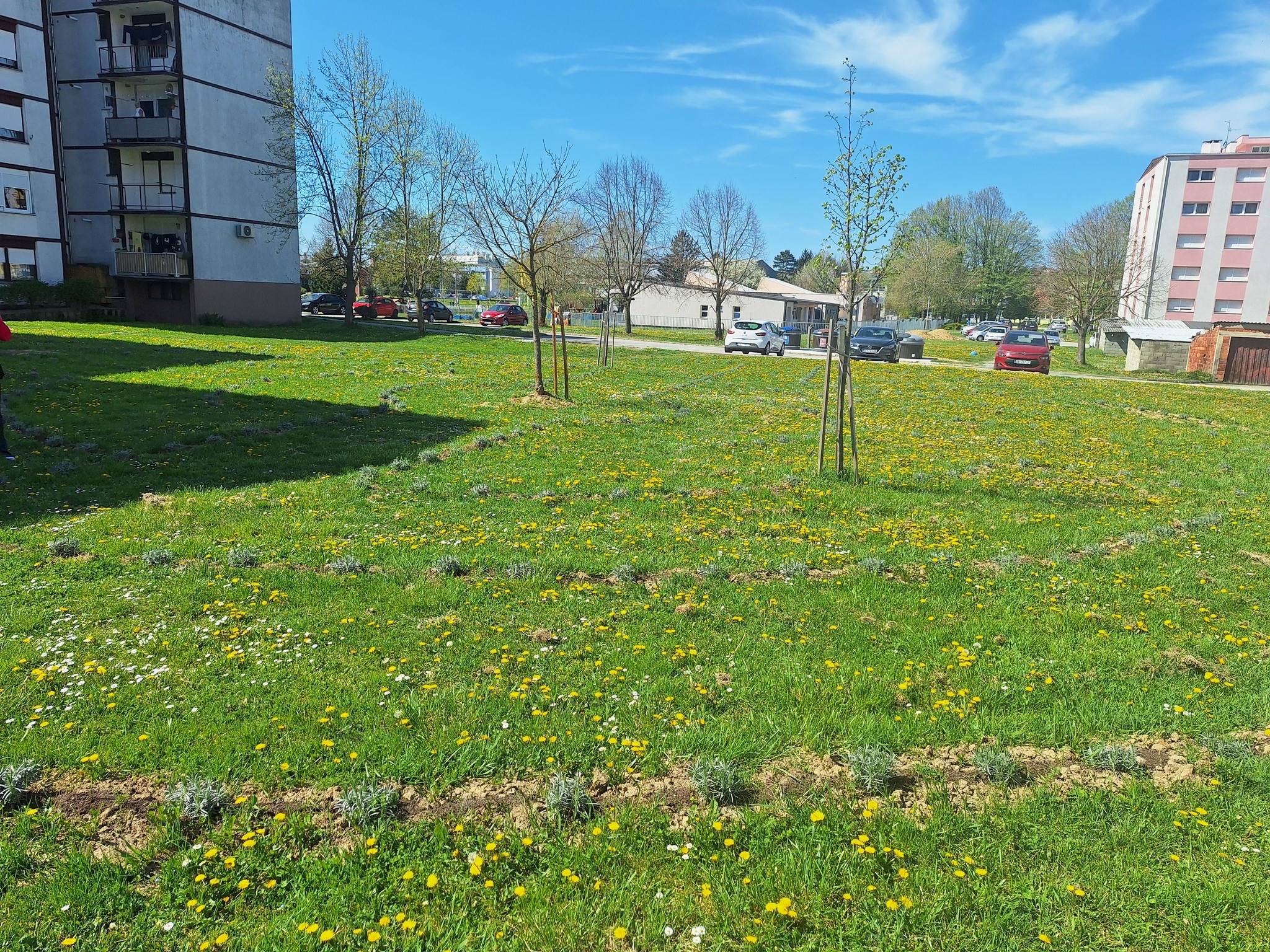 mirisni labirint ocuvan