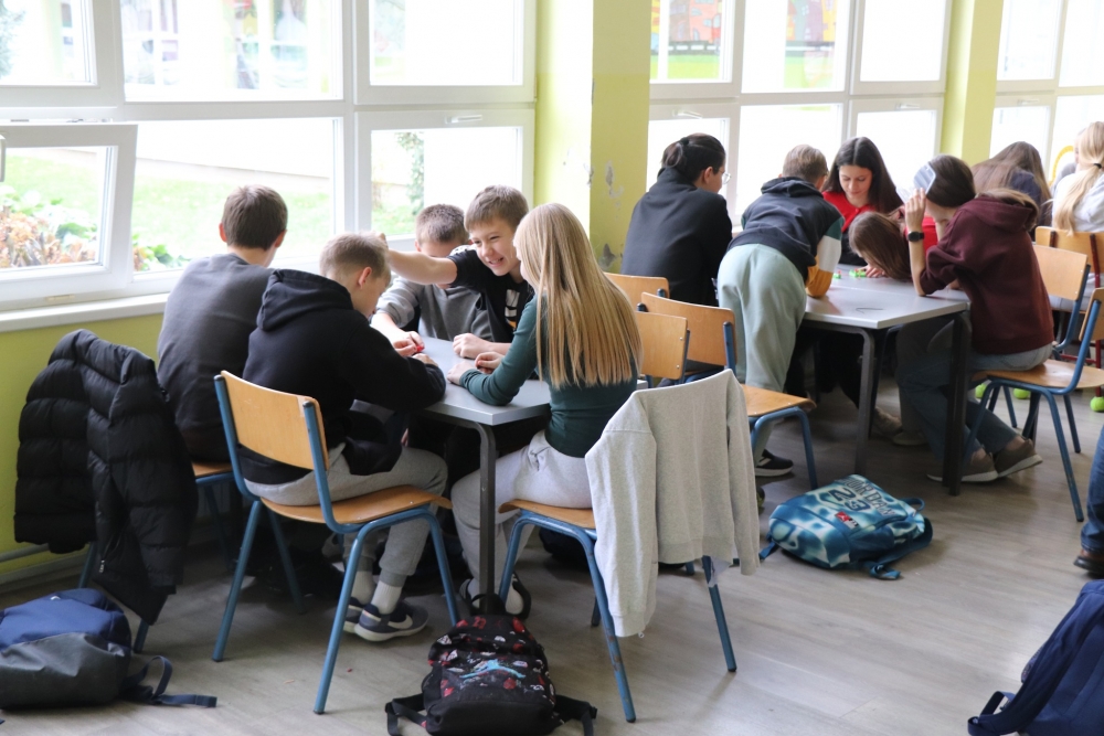 PROJEKTI U OSNOVNOJ ŠKOLI BRAĆE RADIĆA PAKRAC