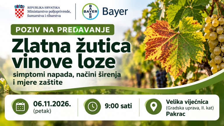 predavanje o zlatnoj zutici vinove loze