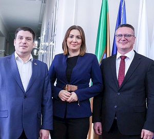 cvor pozega naslovna