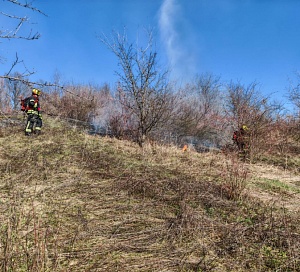 644546787 1364944578999412 729335535180875313 n