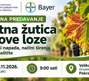 predavanje o zlatnoj zutici vinove loze