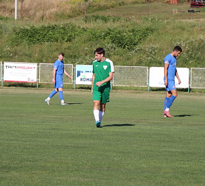 rendic leon hajduk