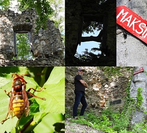 luky dolacki stari grad