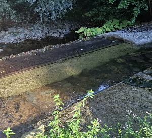 Vodozahvat sumetlica je ovog ljeta gotovo presusio