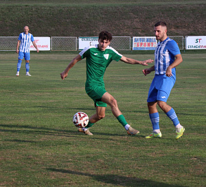ivan kec hajduk vidovci