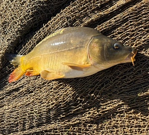 FB IMG 1775543092832