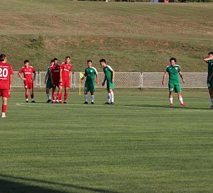 hajduk zdralovi naslovna