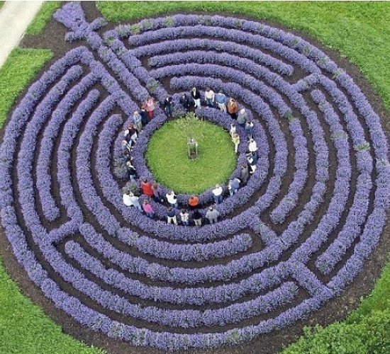 e7f45696c81ad9cd63166b32234b1d2a