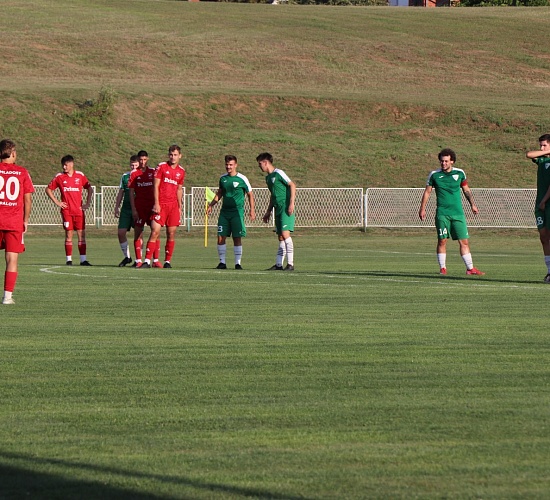 hajduk zdralovi naslovna