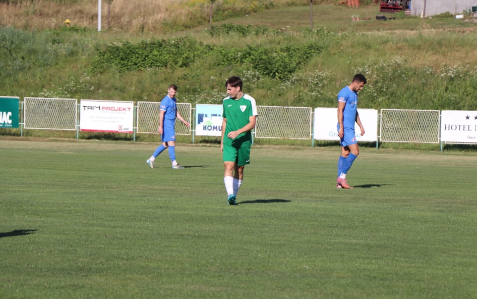 rendic leon hajduk