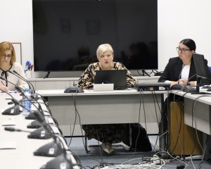 GRADSKO VIJEĆE Vijećnici jednoglasno usvojili točke dnevnog reda za potpore poljoprivrednicima i uvođenje gradske riznice