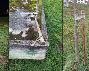 ZAŠTO? Vandali „operirali“ po novoposađenim stablima u Lozincu
