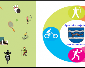 SPORTSKA ZAJEDNICA GRADA PAKRACA Javni poziv za sufinanciranje sportkih udruga