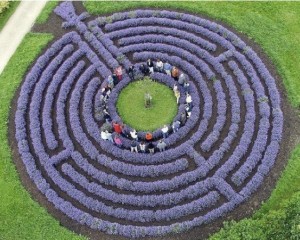  „Mirisni labirint“ u Pakracu - poziv na edukativni projekt za najmlađe