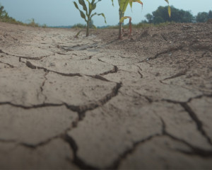 PRIRODNA NEPOGODA Poziv na prijavu štete od suše do 24. rujna 